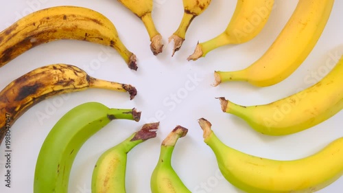 Banana Ripeness Cycle. A colorful display of bananas in a circular pattern, showing their ripening stages from green to yellow to brown