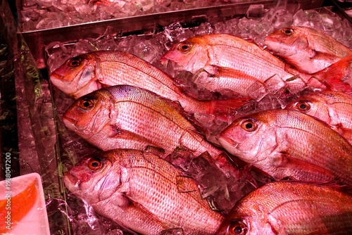 鯛と氷と魚屋と