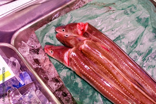 首を切られたウツボ