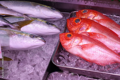 キンメダイVSイナダ