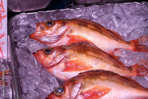 鮮魚、メバル、魚屋