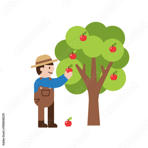 Farmer Picking Apples From Tree, Autumn Harvest, Healthy Food, Organic Farming