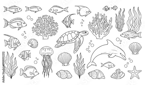 Ocean marine line art vector illustration fish dolphin turtle set