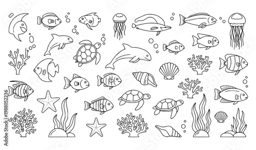 Marine life line art vector set ocean animals coral sea elements design