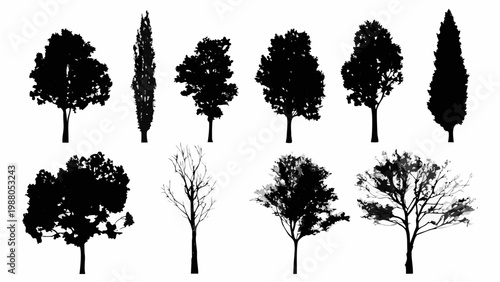 A collection of silhouetted trees and shrubs against a stark white background