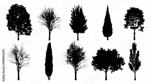 A collection of silhouetted trees with varied shapes and foliage presented in black
