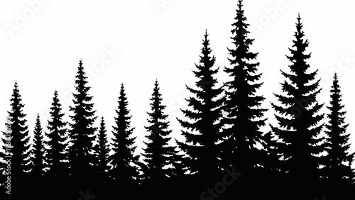 A silhouetted forest of evergreen trees against a stark white background