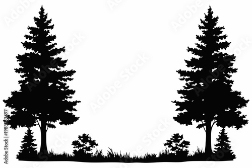 Silhouetted evergreen trees and shrubbery create a natural symmetrical frame against a white backdrop