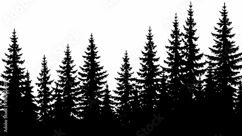 A stark silhouette of coniferous trees against a bright solid white background