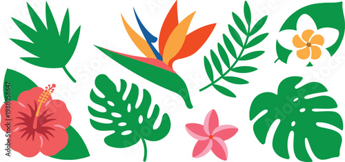 Set of tropical flowers and jungle leaves including hibiscus bird of paradise monstera and palm fronds for exotic summer vacation and botanical designs