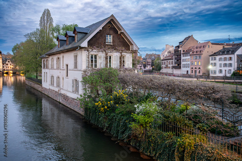 Foto Flowering Wisteria Along Canalside Historic Neighborhood