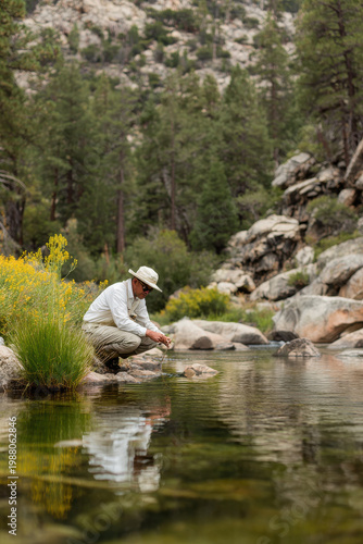 magical snowy morning in peaceful forest blanketed in white snowflakes softly falling