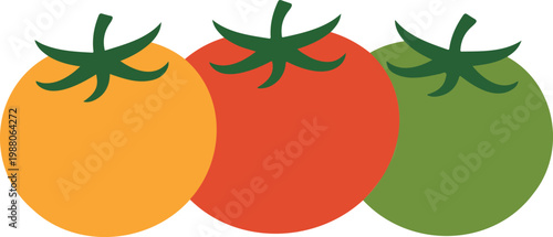 Set of fresh colorful tomatoes in red yellow and green colors for healthy organic food branding farmers market and vegetarian cooking concepts