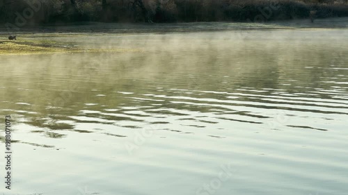 Wallpaper Mural Soft fog drifts slowly over the rippling water as the sun begins to rise. This quiet scene feels mysterious and deeply peaceful. The cool air and gentle waves create a calm, serene mood. Torontodigital.ca