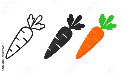 Three carrots in different colors vegetables orange