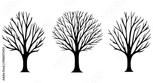 Bare trees silhouettes black transparent background