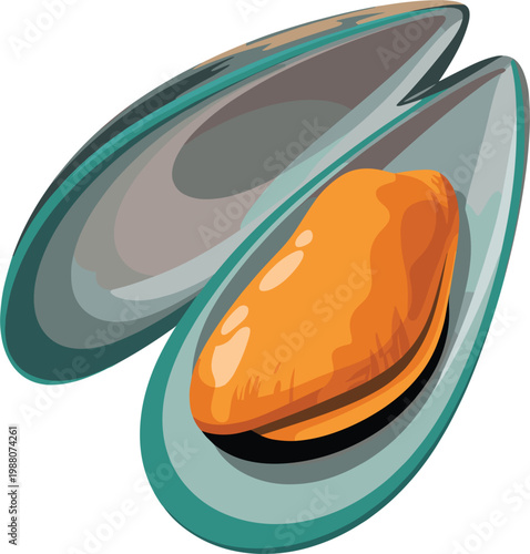 Mussel shell seafood vector illustration, fresh marine food isolated ocean ingredient gourmet design