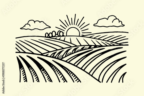 Stylized illustration of sun rising over rolling farmland with clouds rolling hills line art organic farming agriculture landscape countryside illustration cultivation planting