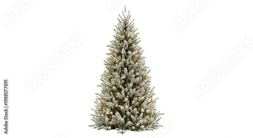 A frosted Christmas tree standing alone on a transparent background.