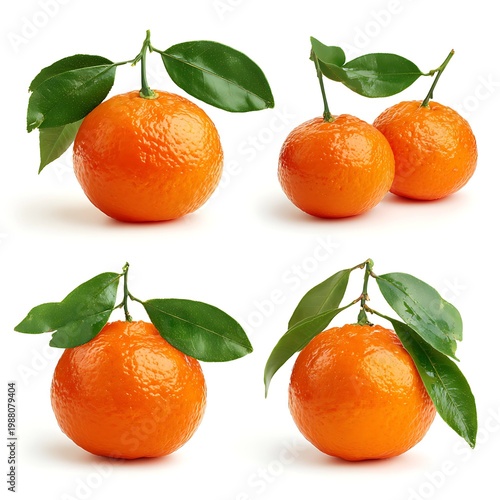 Set of delicious orange fruits with leaves isolated on with white background