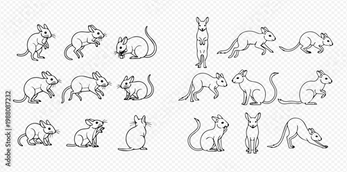 Set of cute mouse and jerboa line art illustrations in various poses.