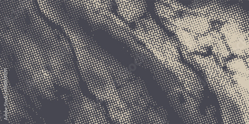 Abstract beige and dark gray halftone texture background with organic flowing shapes and retro dotted pattern, modern vector design for print, digital, and creative projects