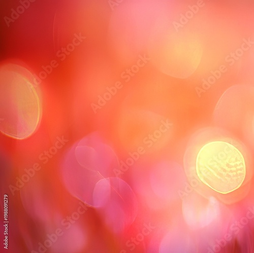 Stunning Abstract Beauty of Sunlight Reflecting on Delicate Tulip Petals with Vibrant Colors