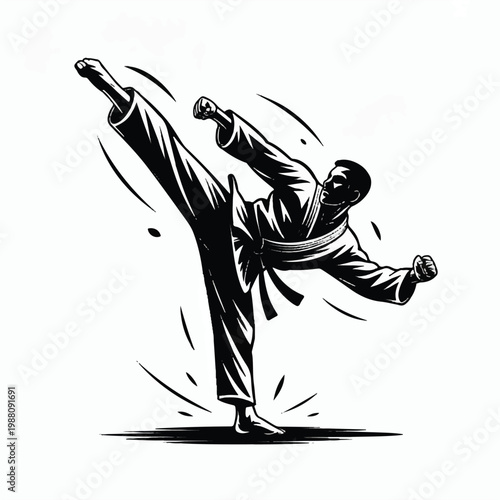 A stylized martial arts illustration featuring a karate practitioner in a high kick pose against a dramatic golden sunburst background
