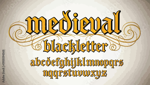 Medieval blackletter font showcasing ornate calligraphy and decorative alphabet letters Vector