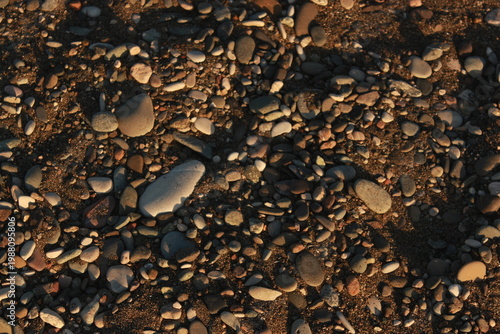 Bild auf Leinwand pebbles on the beach