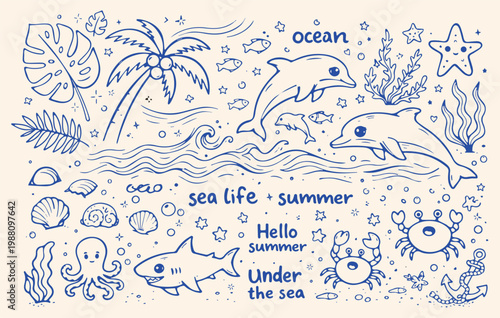 Photography Cute hand drawn ocean doodle set with dolphins, sea animals and tropical summer elements