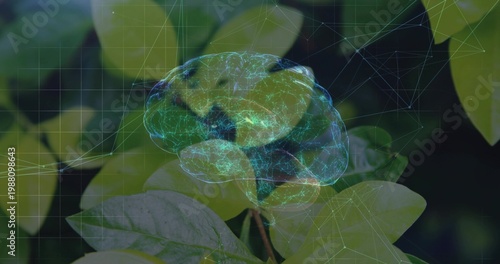 Projecting digital brain hologram hovering over green leaves in macro close-up, with network nodes