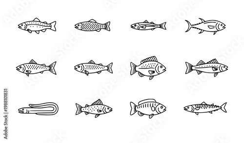 Fish line icon set trout salmon tuna carp aquatic animals vector isolated on white background