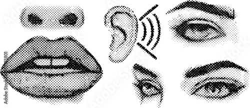 Human facial features vector illustration showing eyes ears nose and mouth elements designed with a classic halftone dot pattern for creative graphic design projects usage