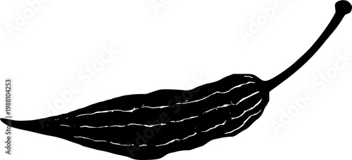 A single dried Okra seed pod with its long ridged structure and seeds visible through the cracks is shown in an ultra-realistic macro on a pure white background