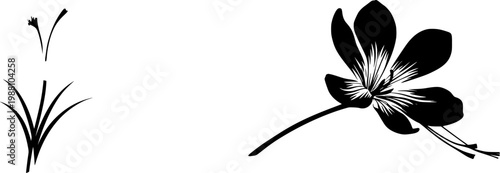 An ultra-realistic macro of a single, fully opened Saffron Crocus flower showcases its pale purple petals and three vivid crimson stigmas against a pure white background