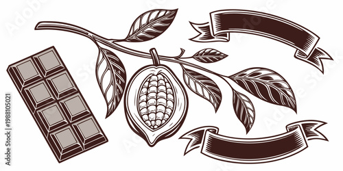 Cocoa pod chocolate bar and ribbons illustration, vector