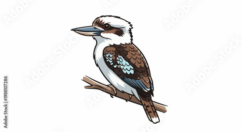 Cartoon kookaburra perched on a branch