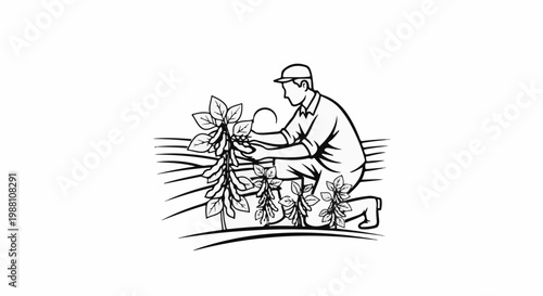 Farmer tending to soybean plants in a field