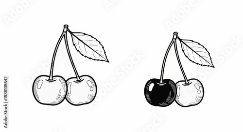 Two pairs of cherries, one pair with leaves, and one with a leaf are depicted in this illustration