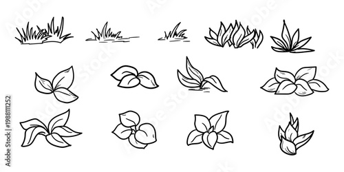 Bushes of leaves and lush foliage, hand-drawn sketch. Vector illustration. Set of linear drawings of garden plants and herbs, isolated on background. Concept of nature, rural landscape and summer