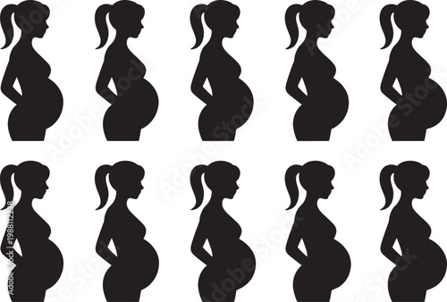 Pregnancy progression is depicted through a collection of side profile silhouettes showing the gradual expansion of the abdomen across the full term of gestation.