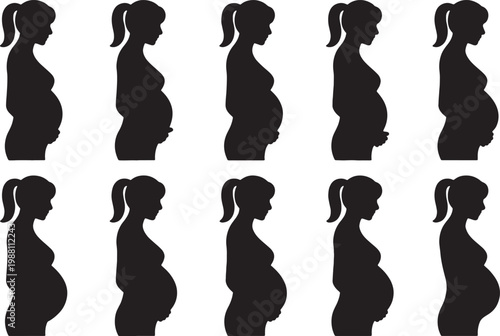 Pregnant woman silhouettes are arranged in a chronological sequence to demonstrate the physical changes occurring throughout the three trimesters of a human pregnancy.