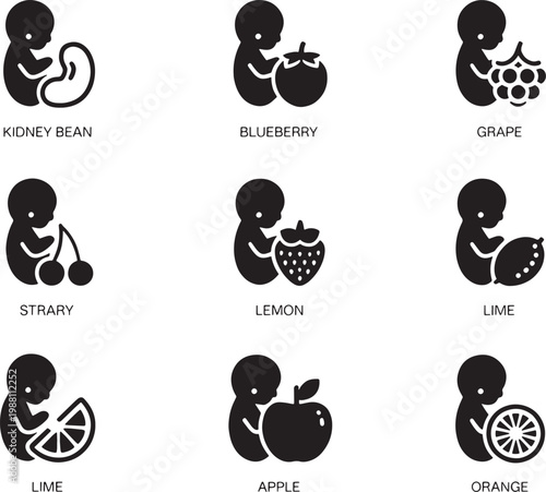 Fetus size progression is illustrated through a series of icons comparing an unborn baby to different types of produce at each stage of gestation.