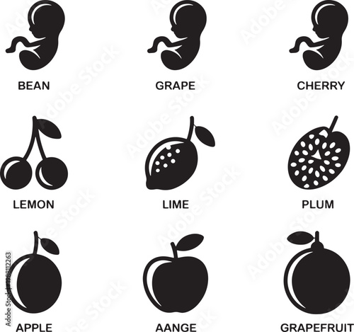 Fruits and vegetables icons are displayed in a grid to represent the comparative sizes of a human fetus during the various weeks of pregnancy development.