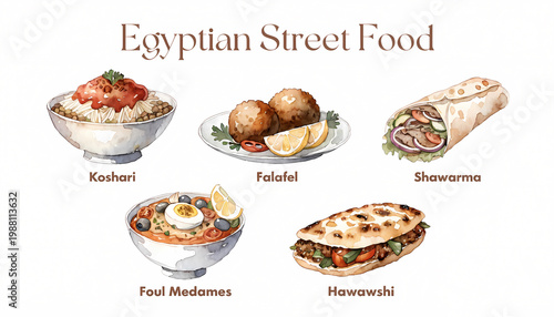 Illustration of various Egyptian street foods including Koshari, Falafel, Shawarma, Foul Medames, and Hawawshi. The artwork is a watercolor style, isolated on a white background.