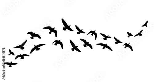 Cute cartoon pet circle composition vector set with dogs cats and small animals in pastel flat style