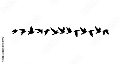 Foto Minimal flying bird silhouettes in straight line vector set clean nature bird ic