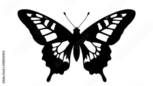Ornate Butterfly Silhouette Isolated on White Background