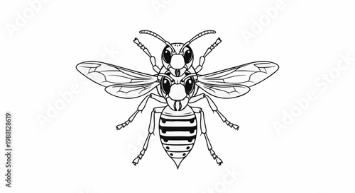 Two intricately detailed, monochrome insects appear to have merged at the heads